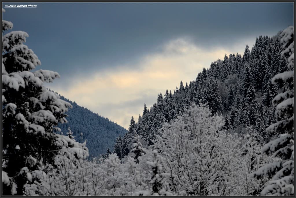 A quelque part dans La Chartreuse