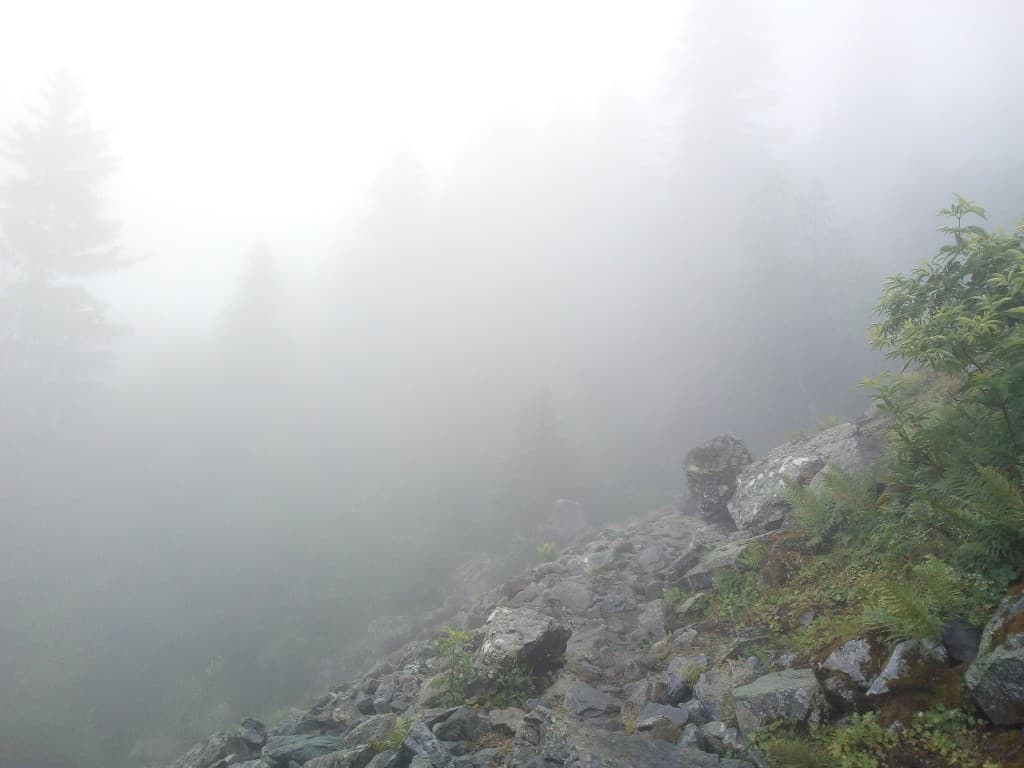 Aiguilles dans la brume.