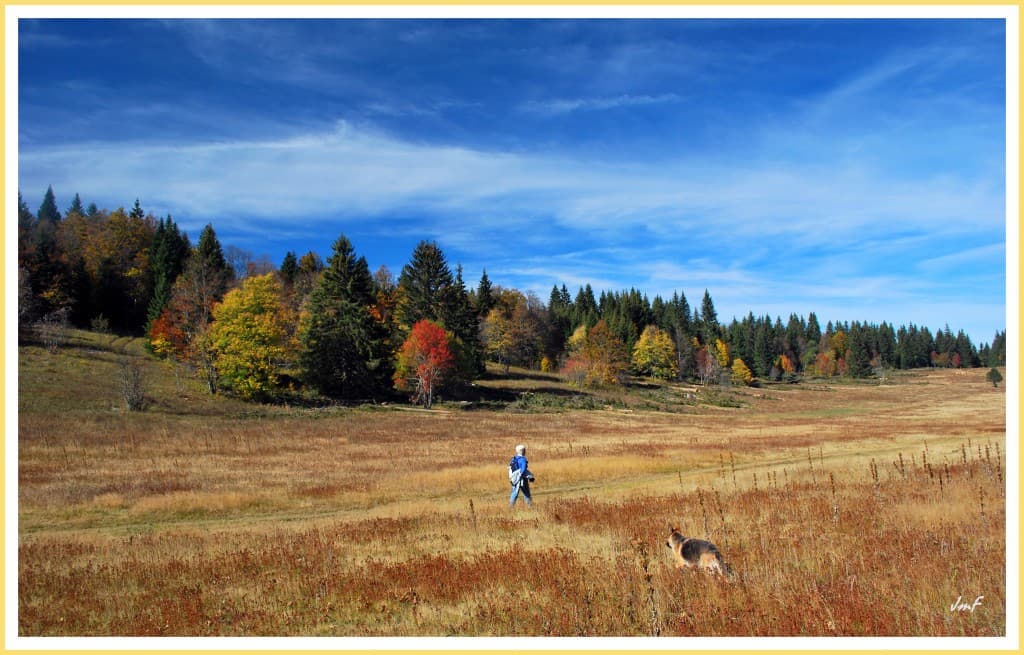 balade sur les prairies de Château Julien 