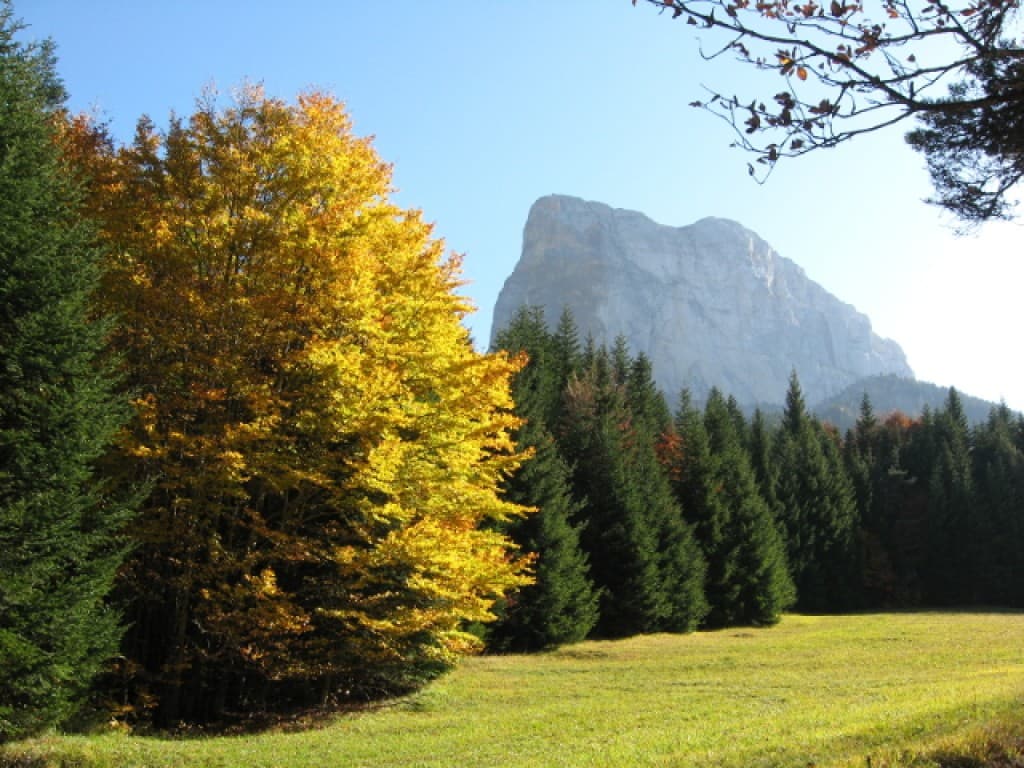 Belles couleurs sous le Mont Aiguille - 2