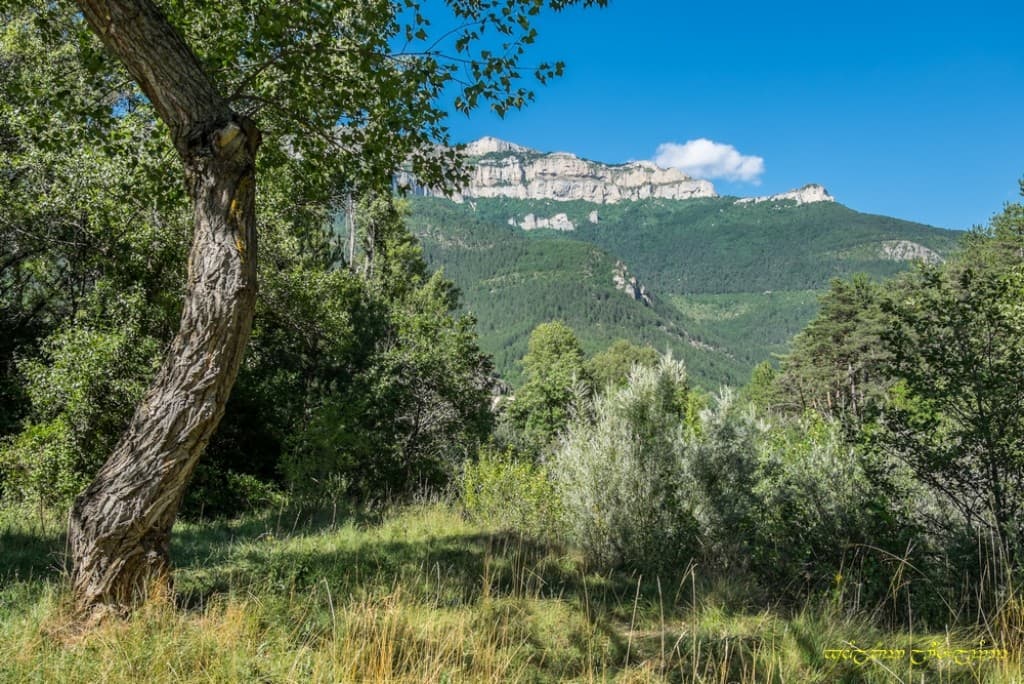 L'été en Vercors