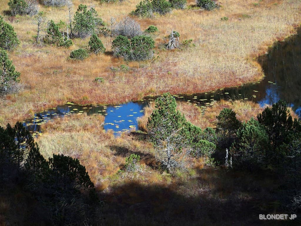 Lac Luitel