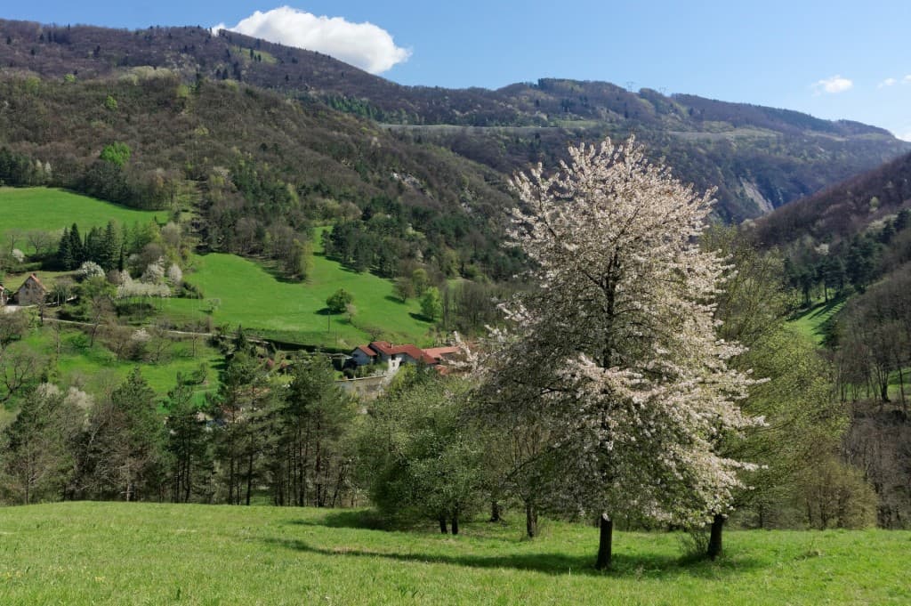 Le hameau d'Essart-Garin