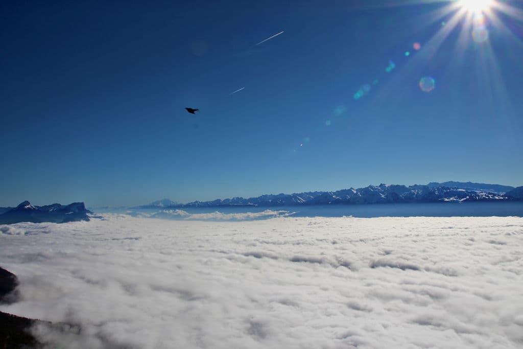 Mer de nuage sur Grenoble