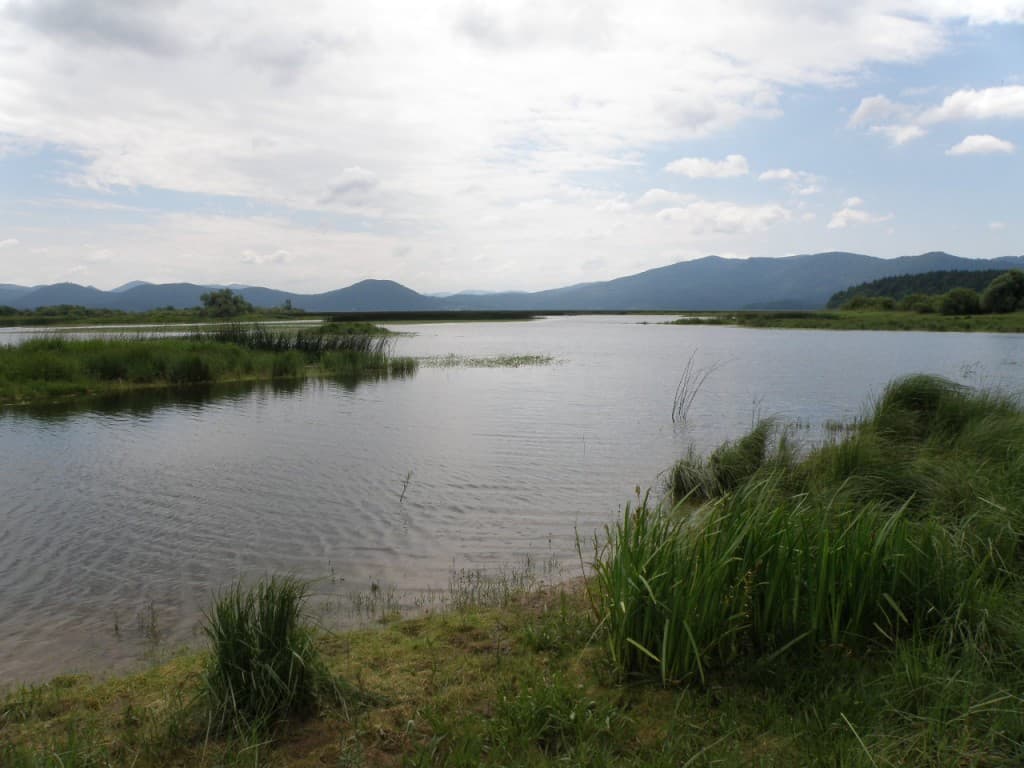 milieux humides du sud de la Slovènie