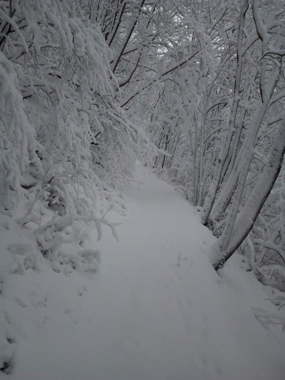 Montée au St Eynard