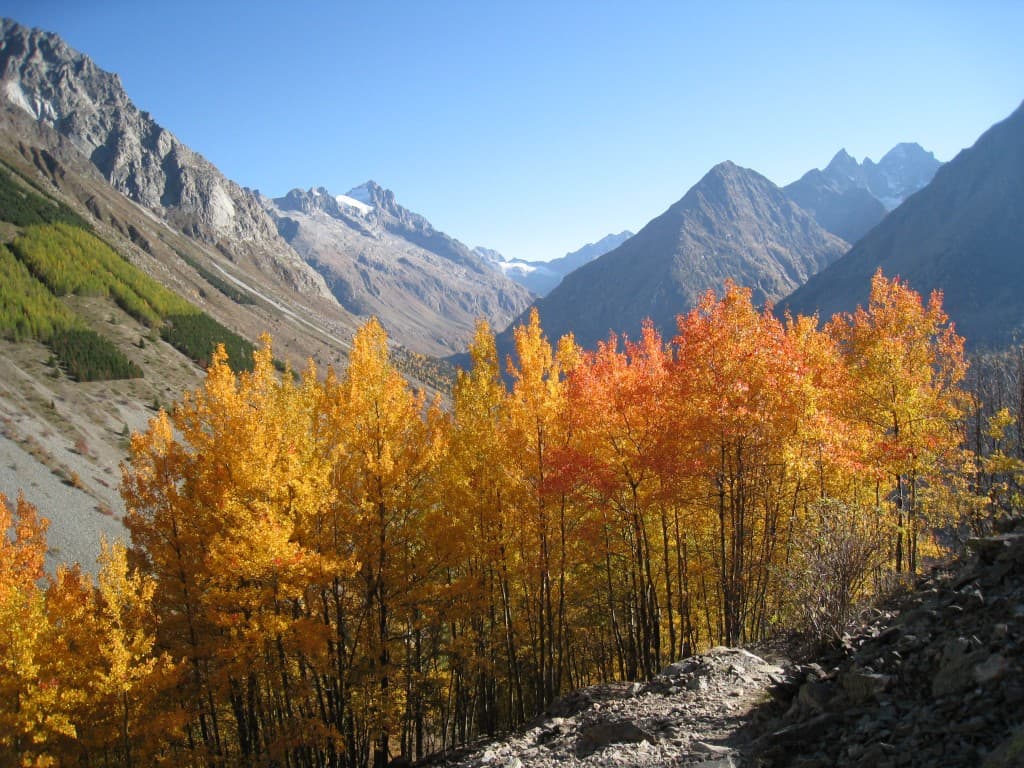 Tête des Fétoules