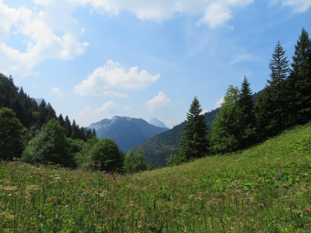 Col de Saulce