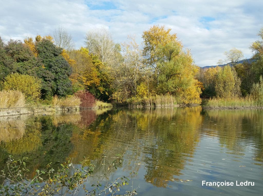 Couleurs d'automne