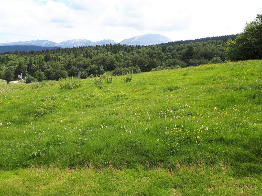 Le Grand Veymont