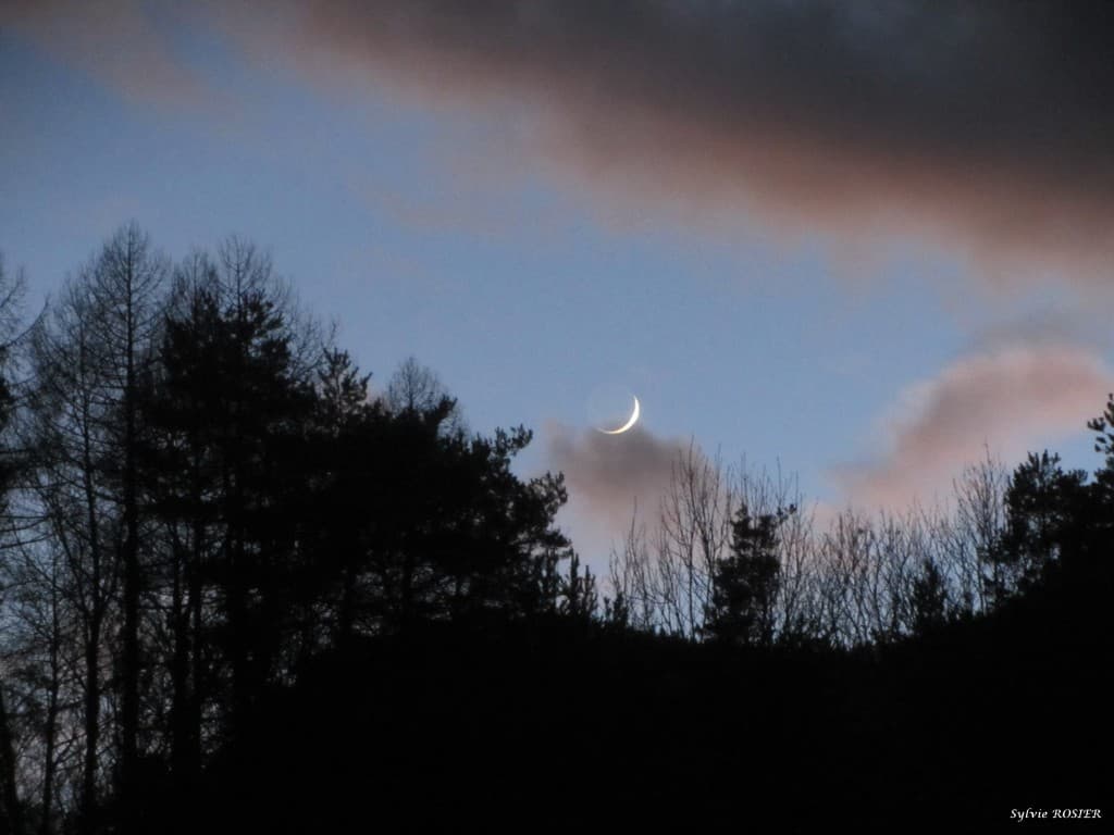 Lever de lune