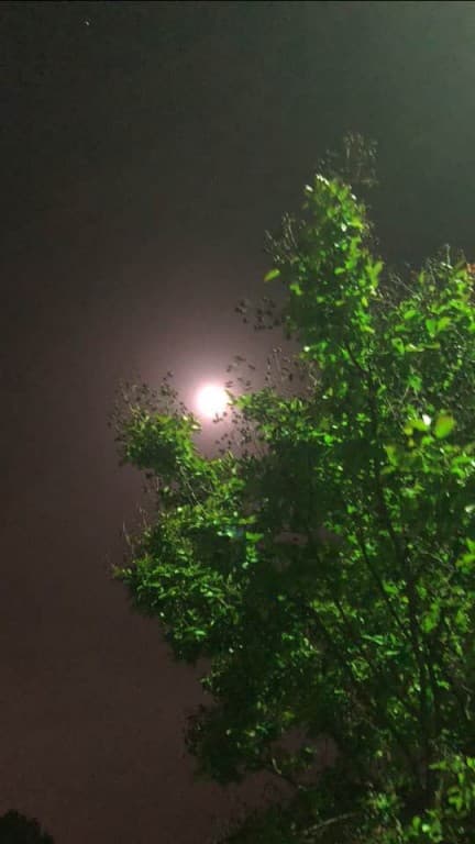 lune