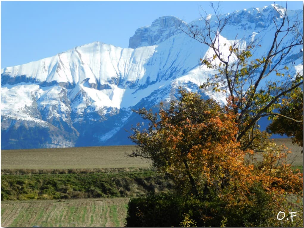 Matinée en Trièves