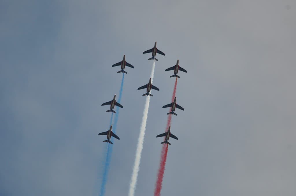 Oiseaux fantastiques !!!