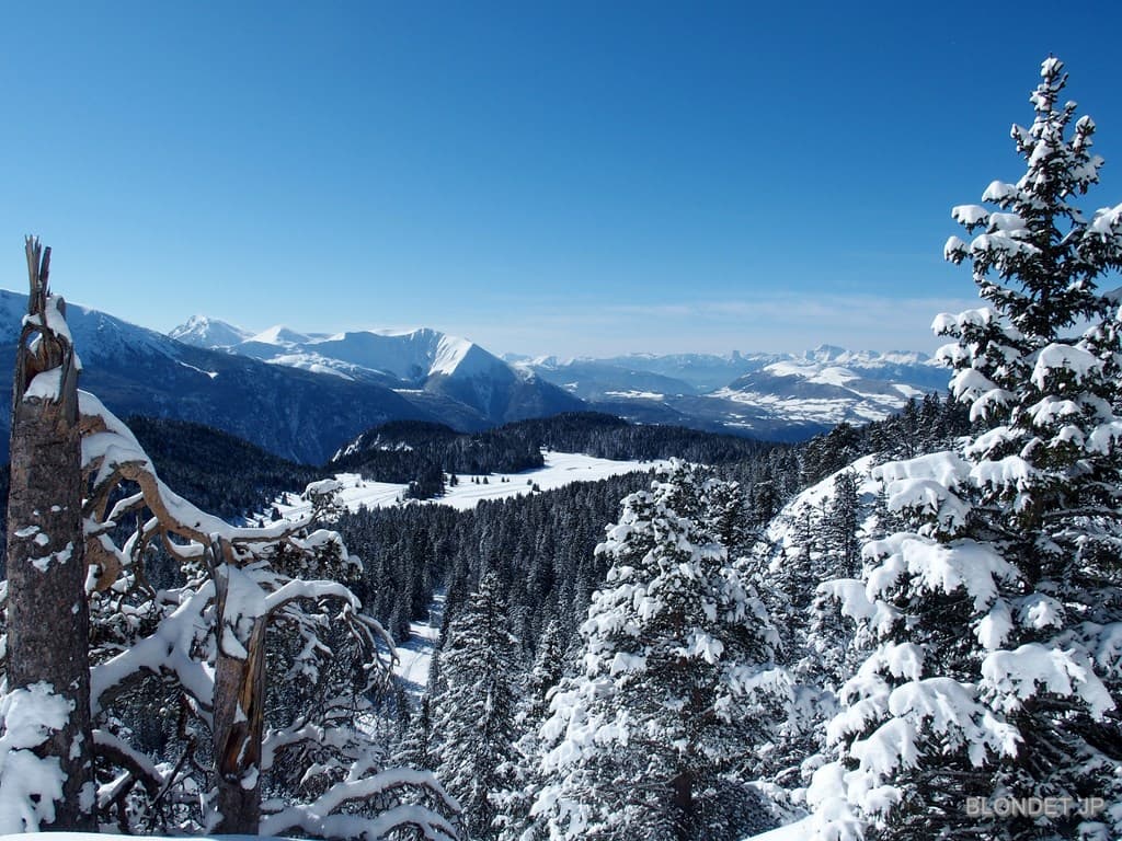 Plateau de l'Arselle