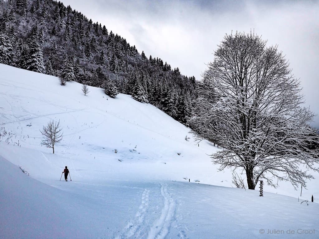 Promenade en Chartreuse
