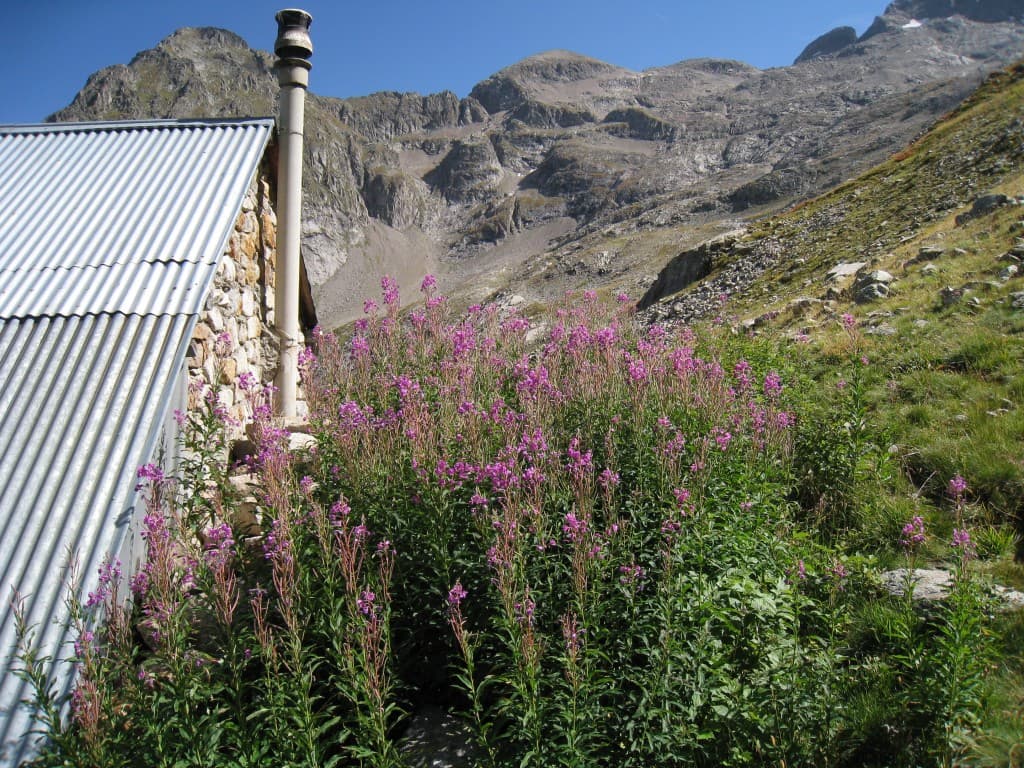 Refuge des Sources