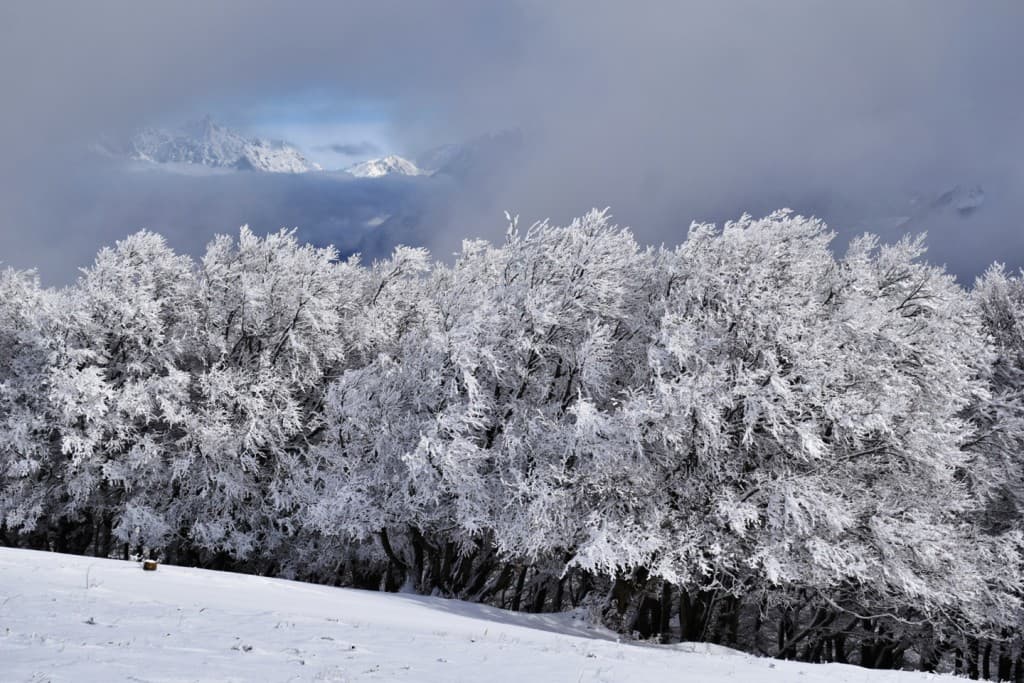 Vers le Petit Lac-  Connest-La Mure