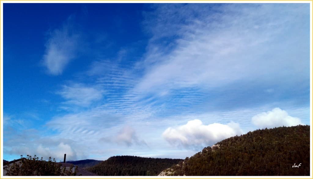 cirrocumulus undulatus