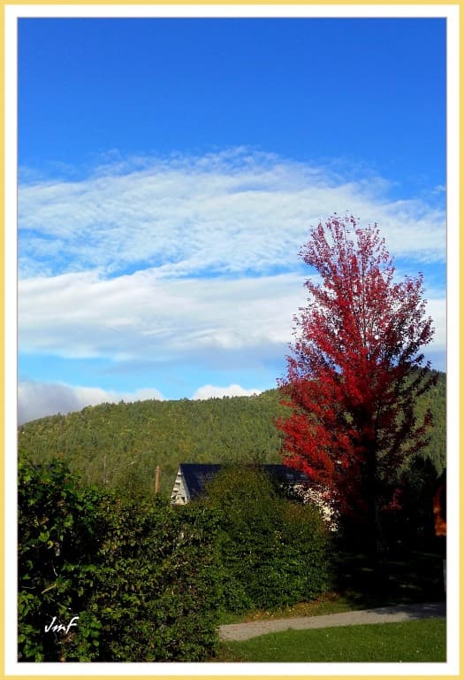 couleur d'automne