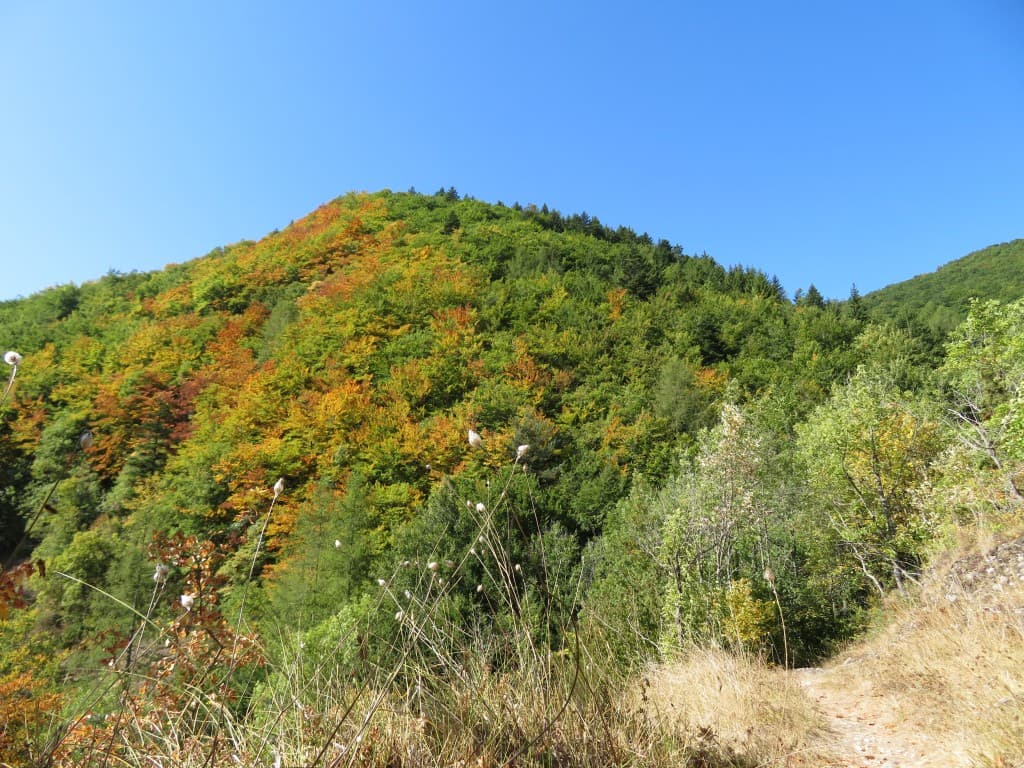  couleurs 