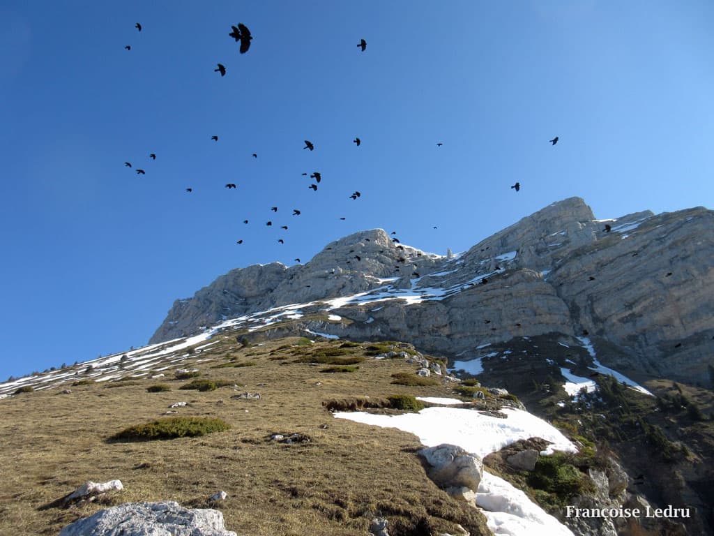 Dent de Crolles - ça fond