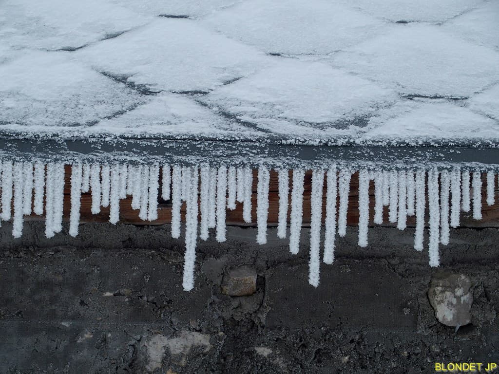 Détail du Habert de Pravouta