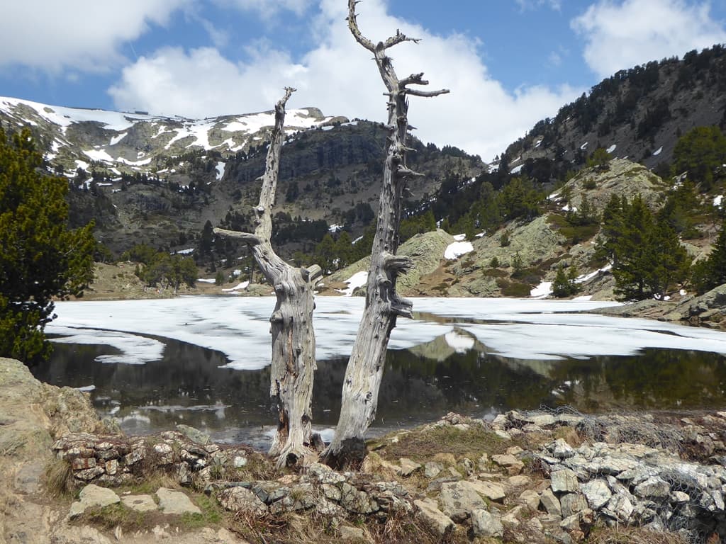 lac ACHARD