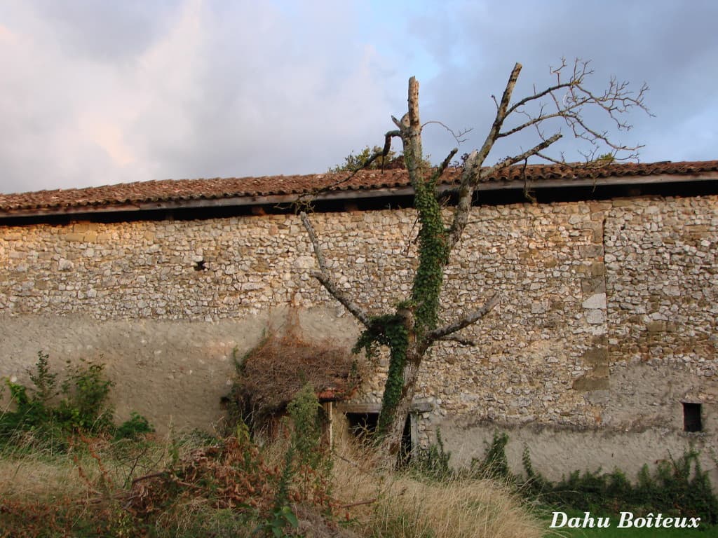 Mort d'un colosse