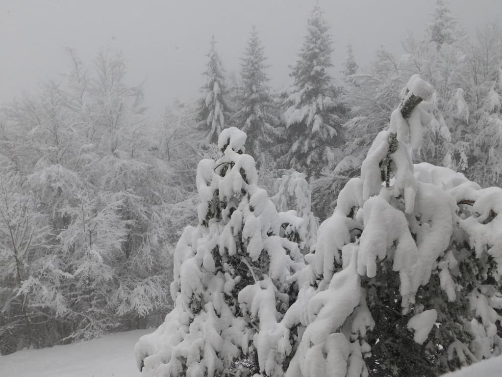 neige d'avril