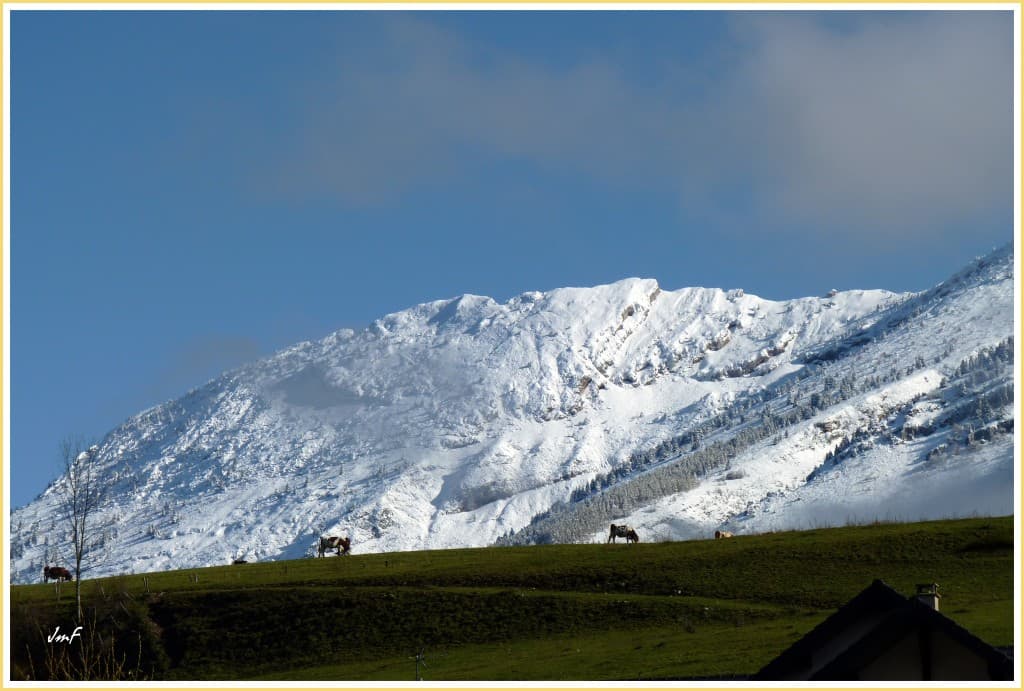 neige sur les sommets