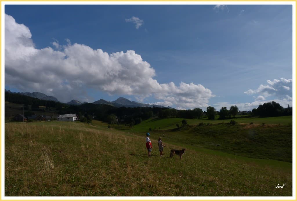 promenade dans la prairie ensoleillée