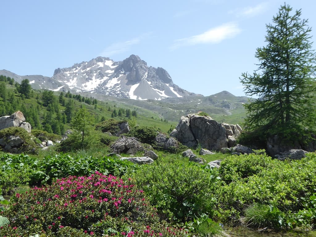 vallon du col Buffère