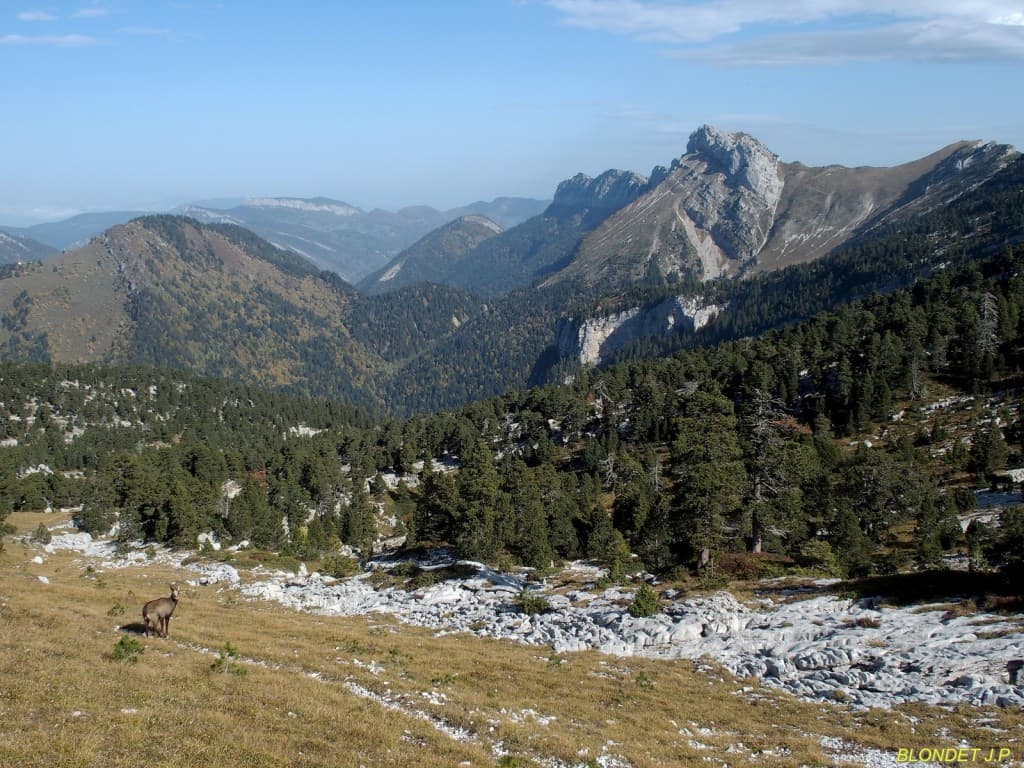Vers la Dent de Crolles