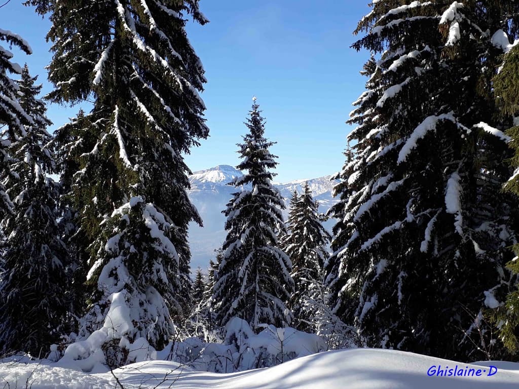 Vue Chamechaude