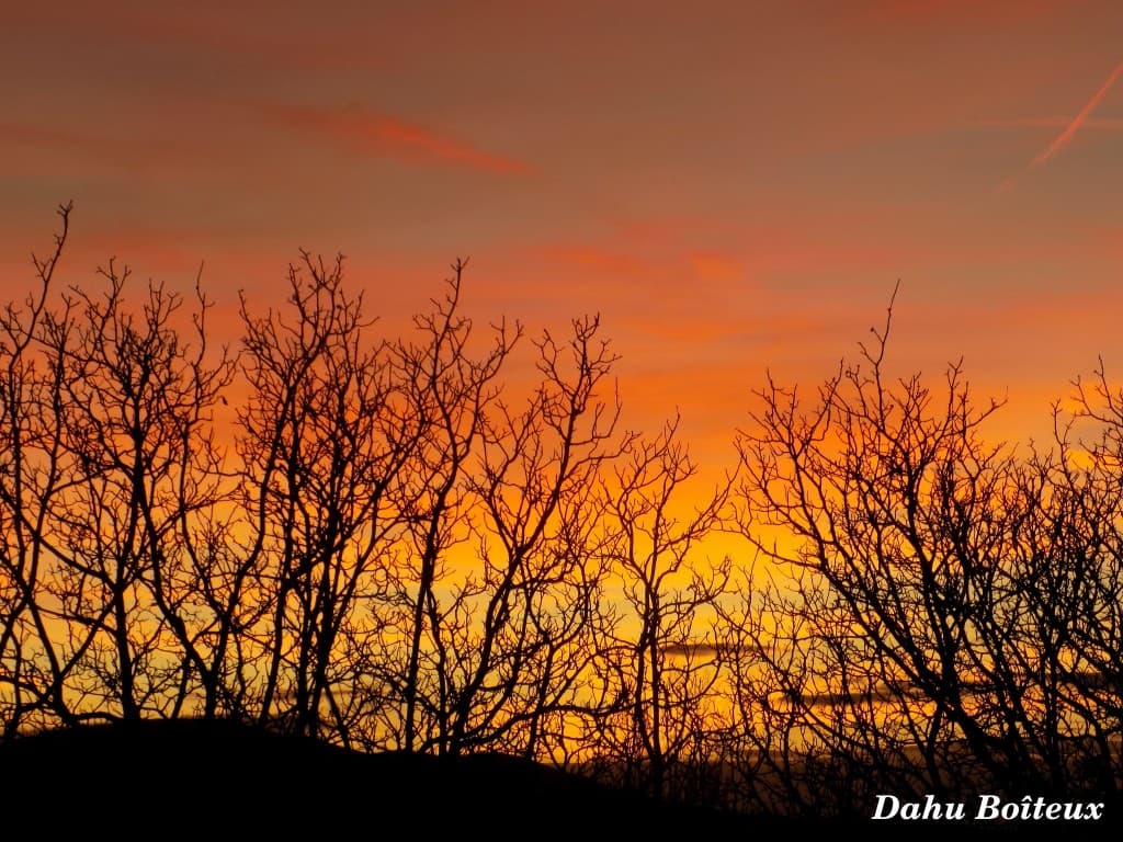 Ciel d'hiver flamboyant