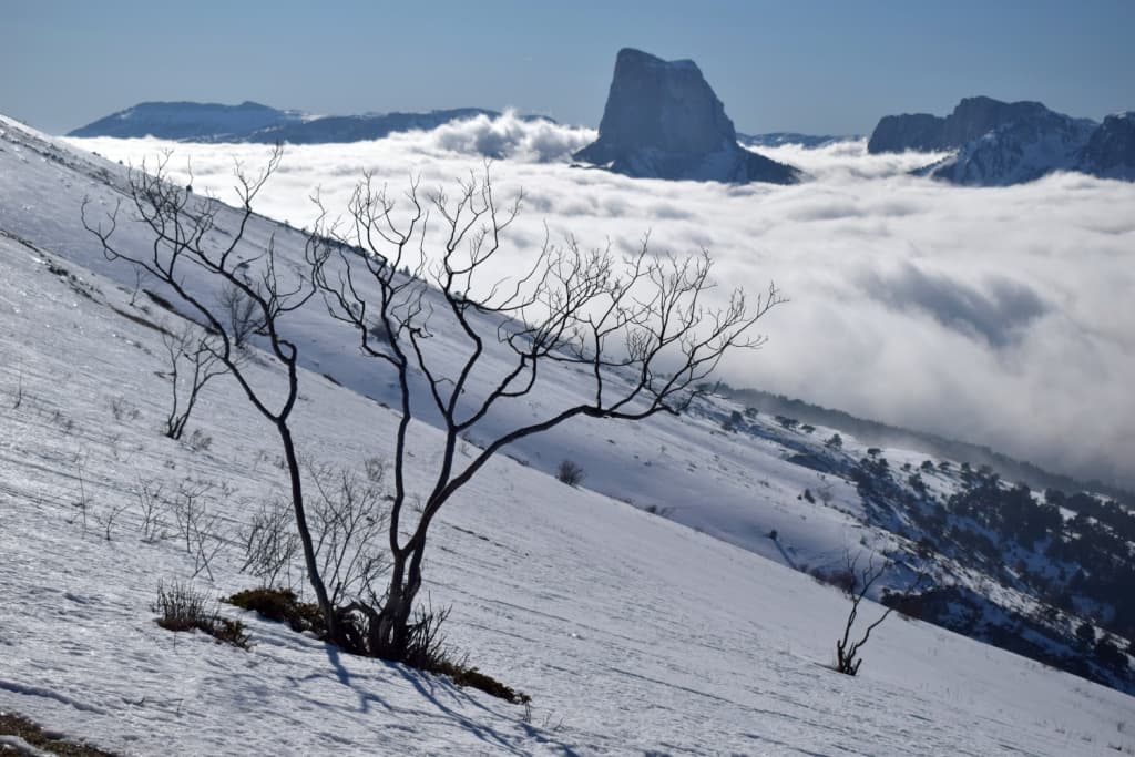 Mont Aiguille cerné