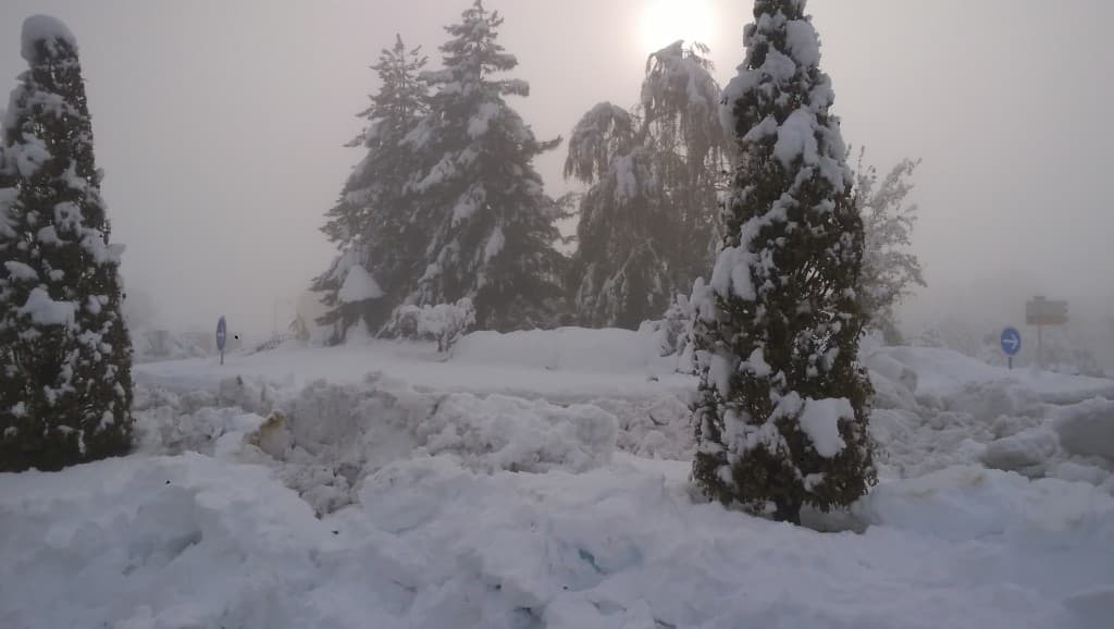 Neige dans la Drôme tombé le 14/11/2019