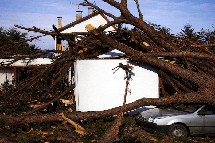 Les tempêtes mémorables de février 1990