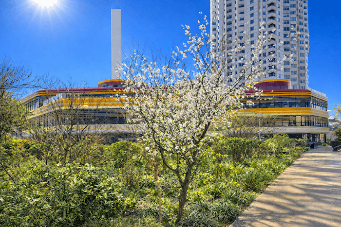 Météo : l’avance de la végétation est inédite
