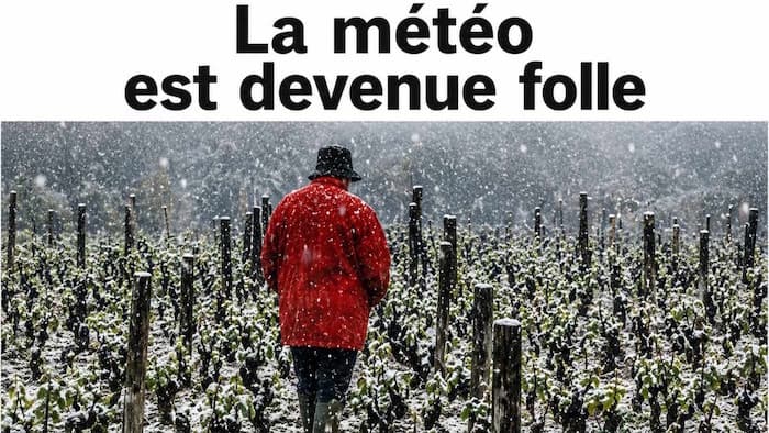 Il a neigé en Touraine le 7 mai !