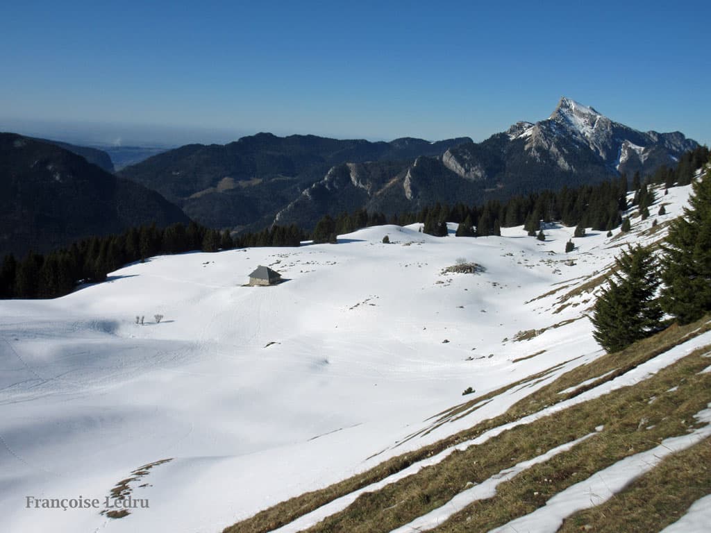 Alpage du Pravouta