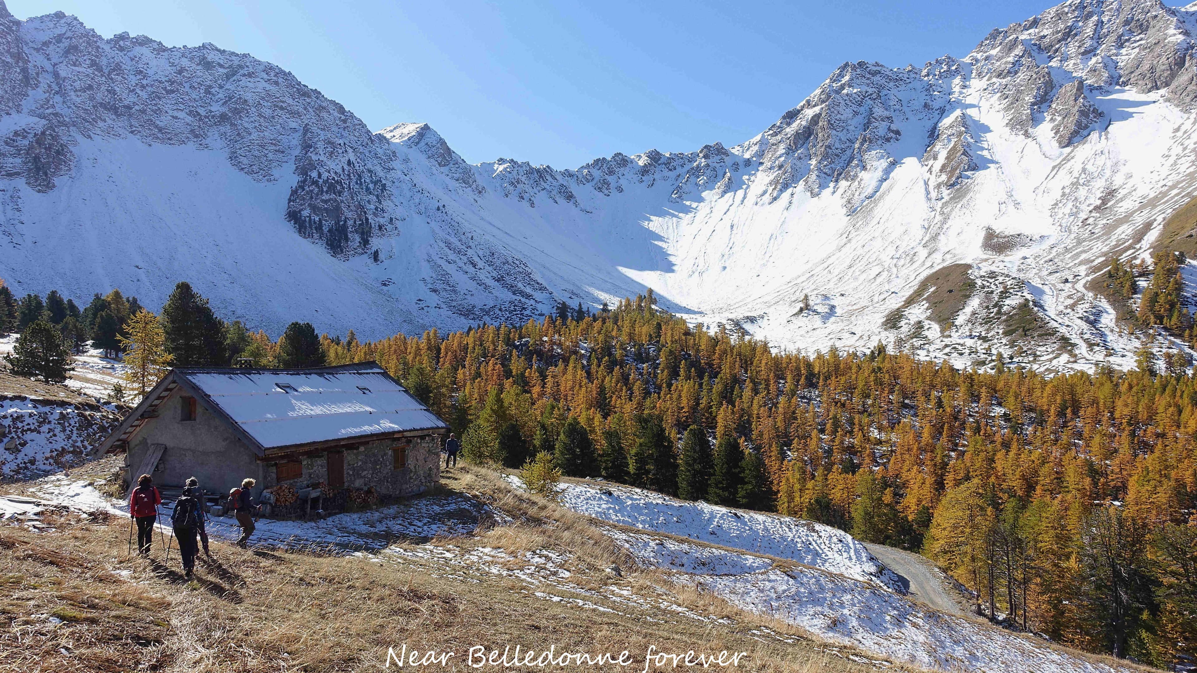 Beau soleil ce weekend près de Briançon - les mélèzes en feux  A.P.