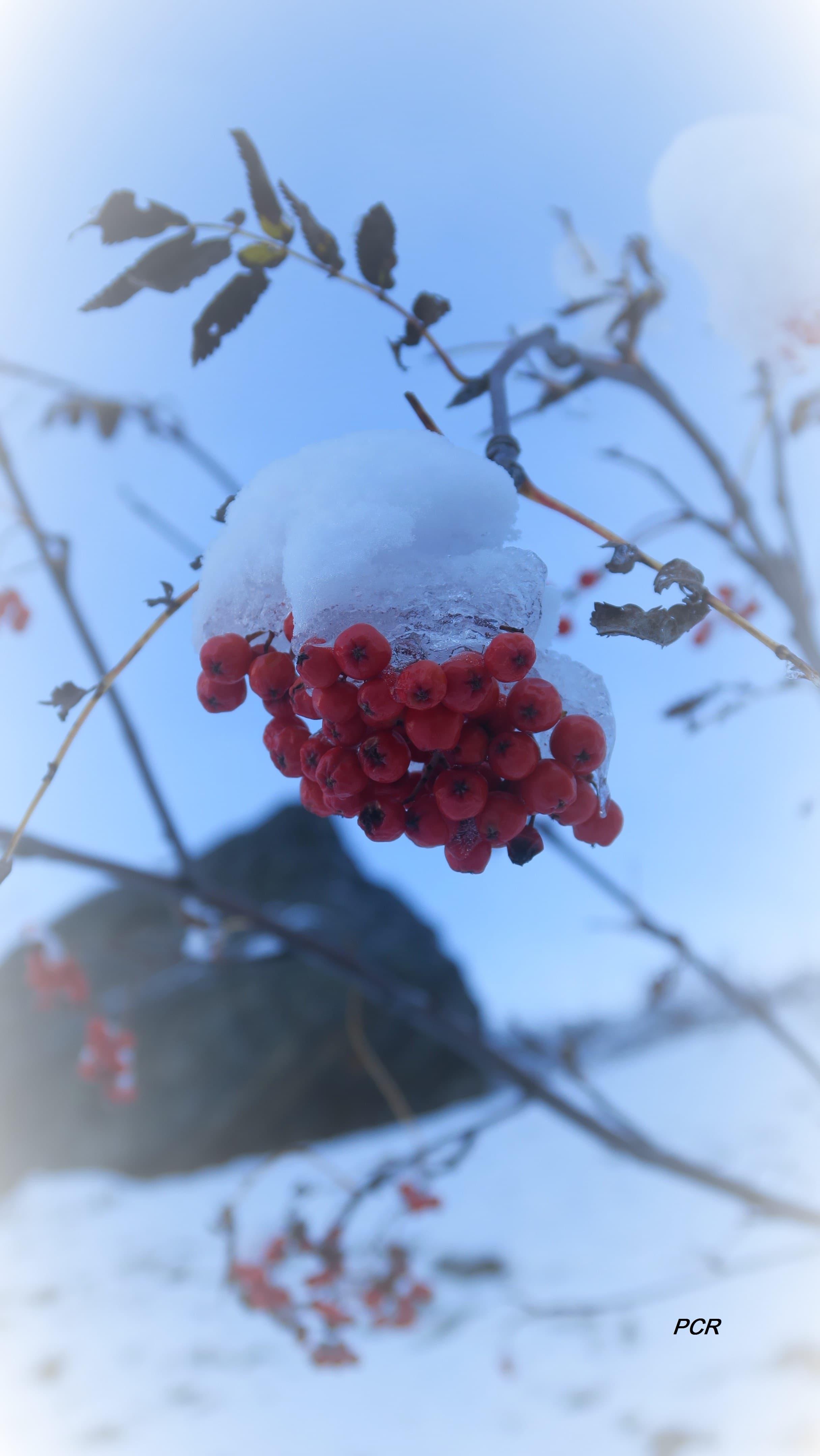 Chapeau de flocons