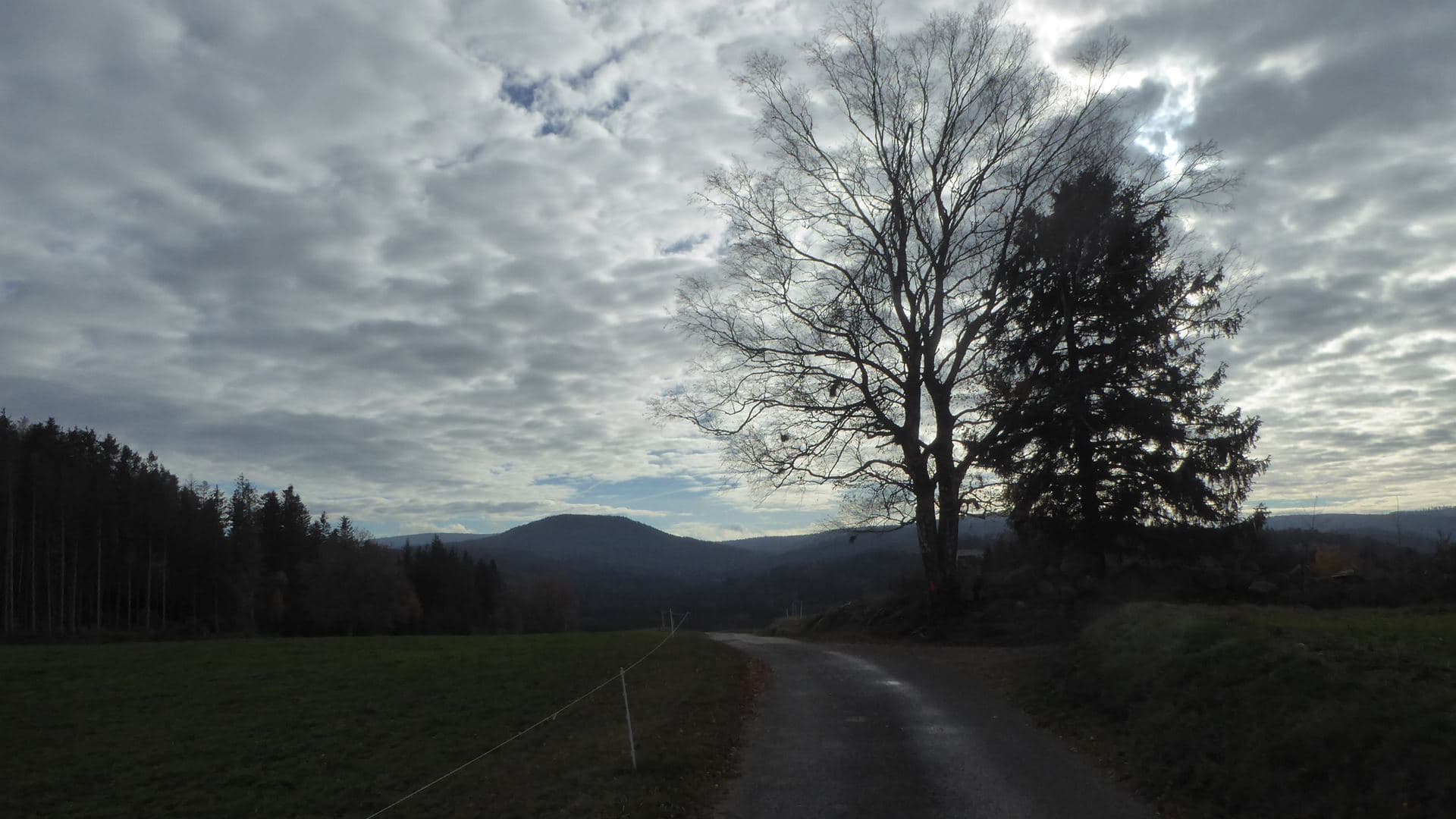 Altocumulus