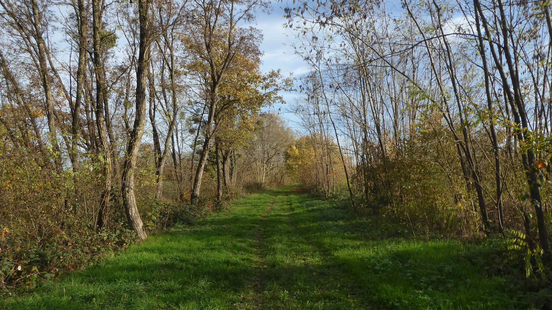 Douceur automnale