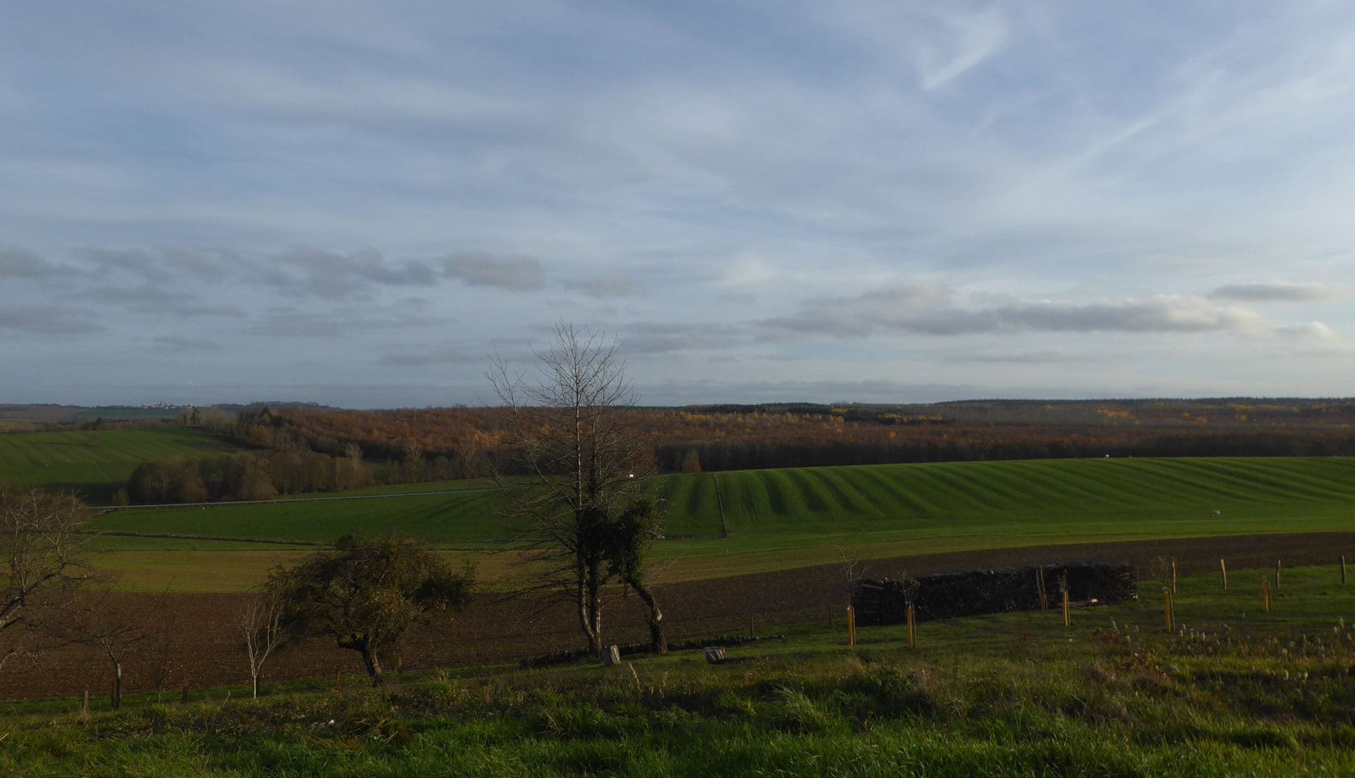 Ciel voilé