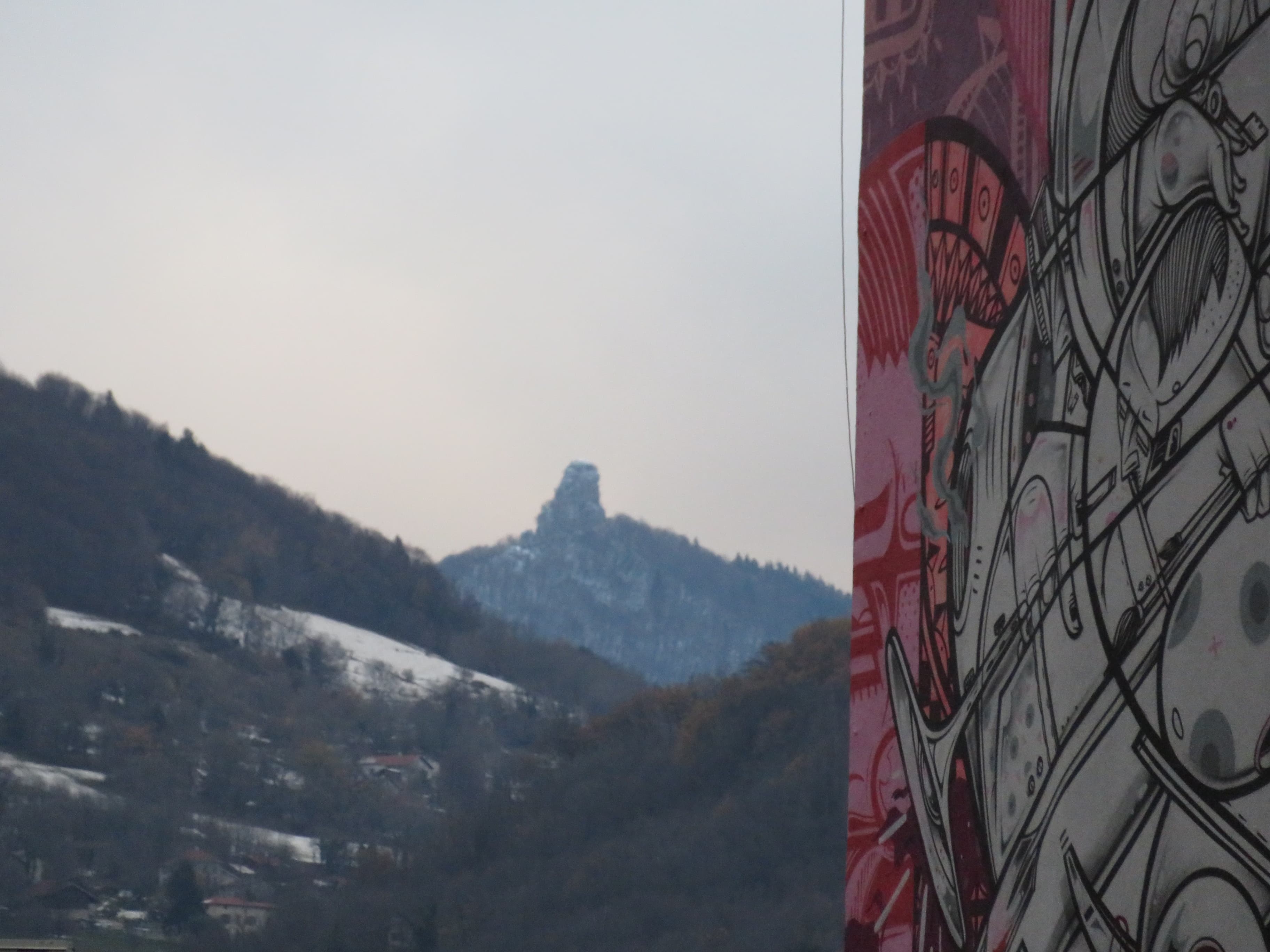 La vie en rose et gris