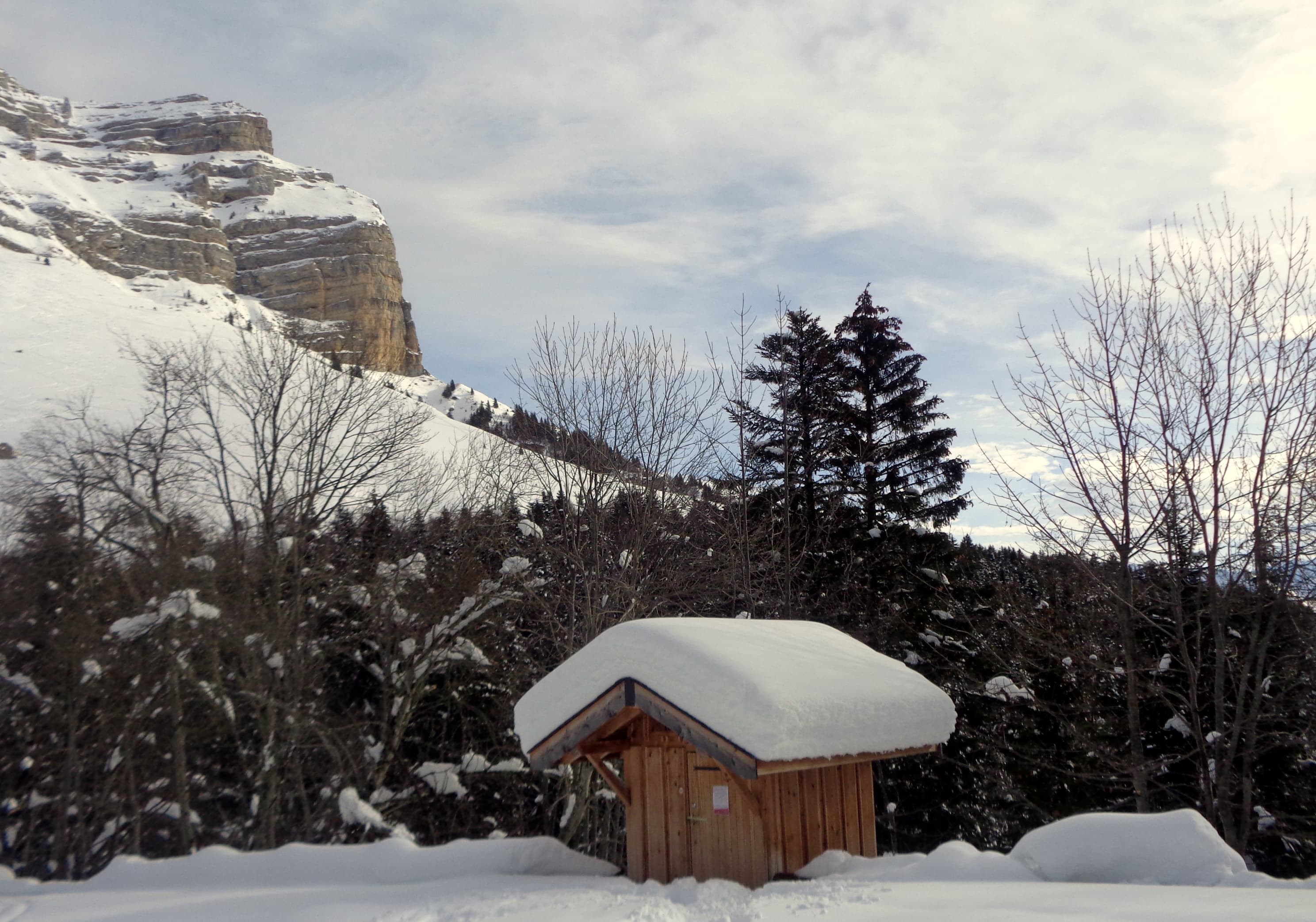 carte postale