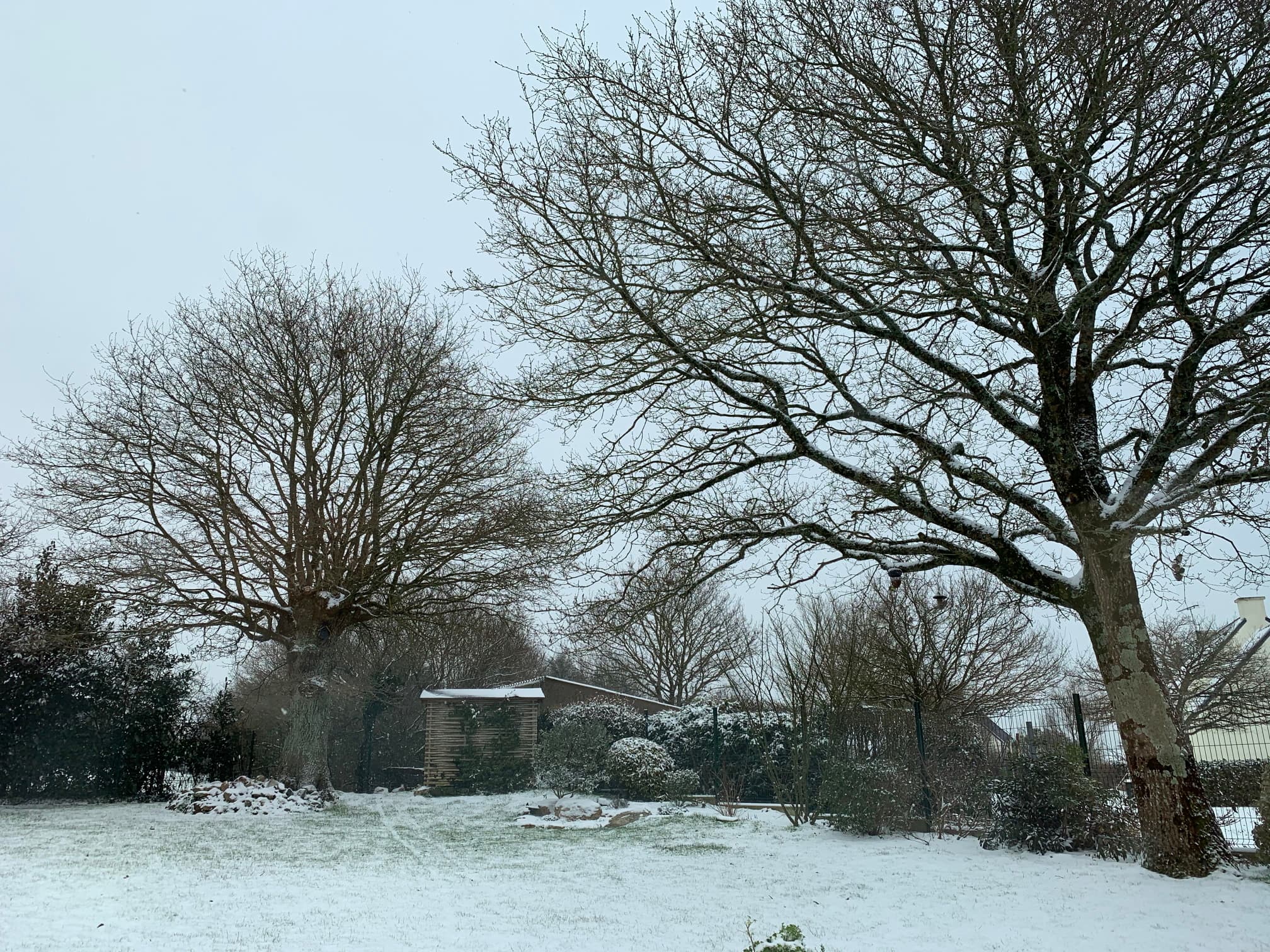 Neige bretonne